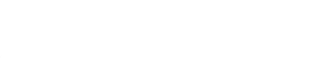 best tender and gem consultant Nitesh business Services